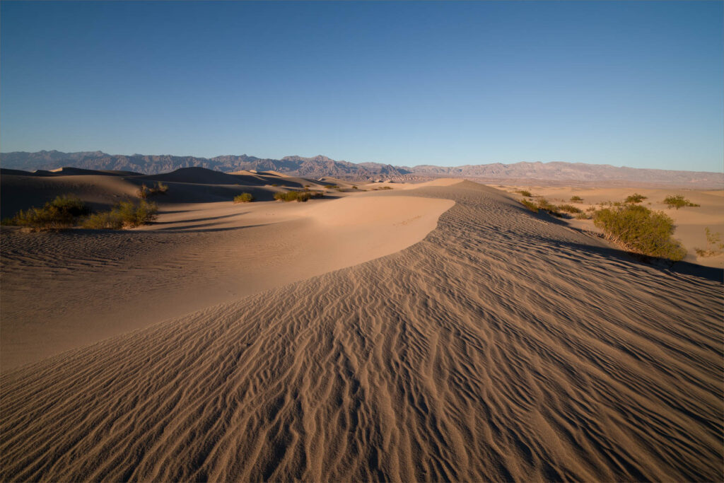 The Sand Dunes at Death Valley