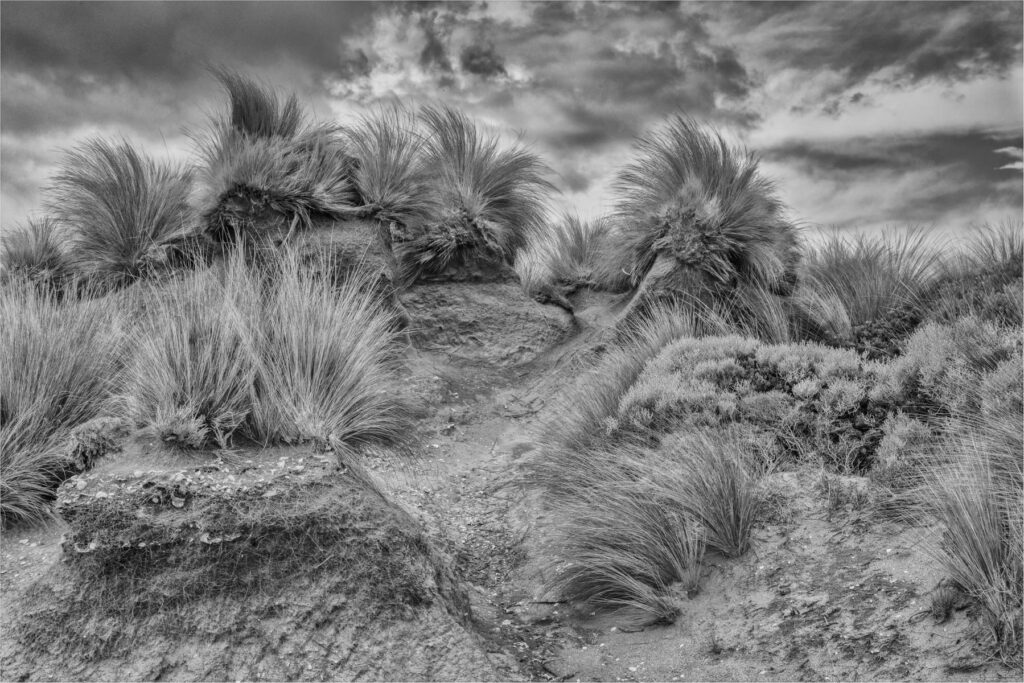 Old Aboriginal encampment area, along the Mornington Peninsula