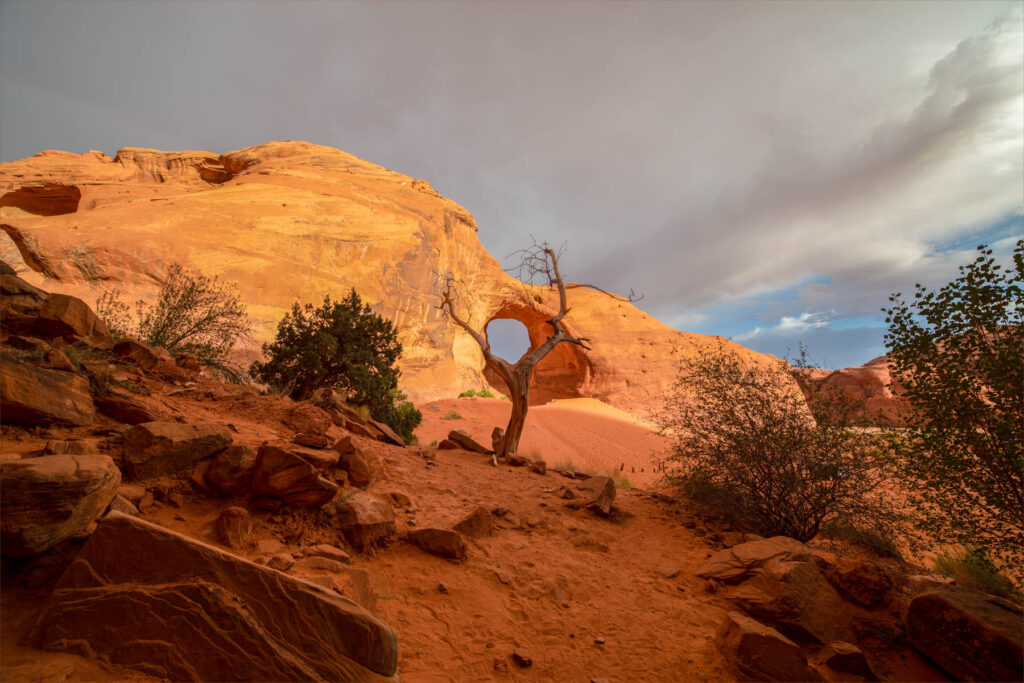 Landscape. Mystery Valley, Utah