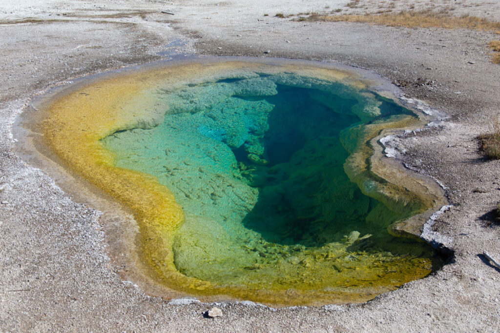 Landscape Hot Water Spring, Yellowstone National Park